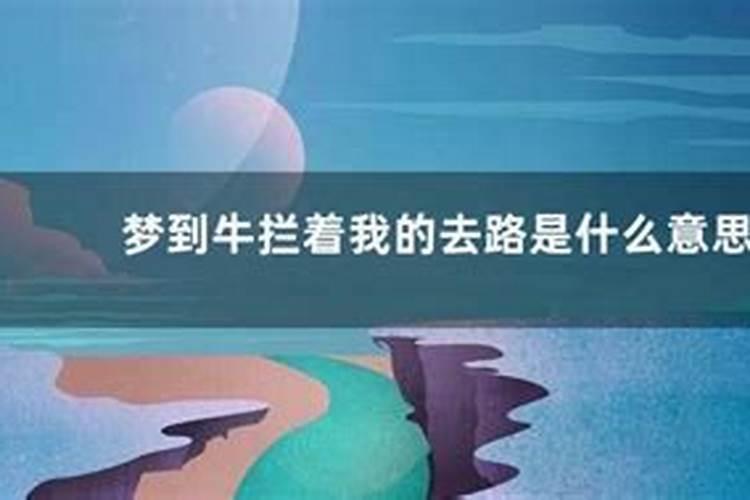 梦到有人在路上拦我