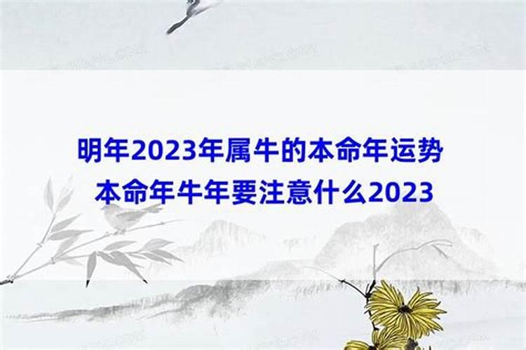 2021明年本命年是多大