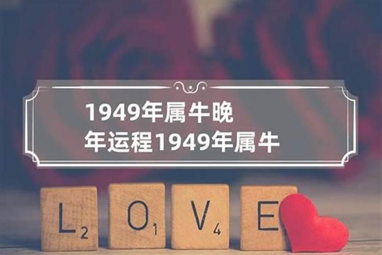 97年的牛今年感情运势怎么样