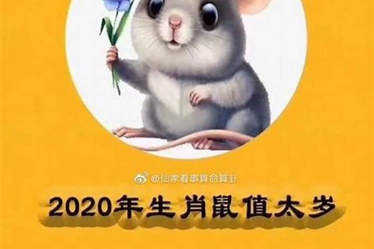 生肖属龙的人2023年运势好不好