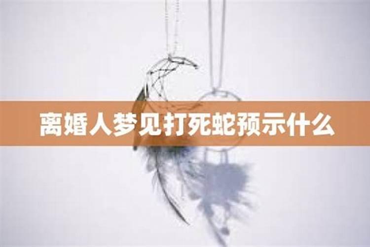 离异女人梦到蛇