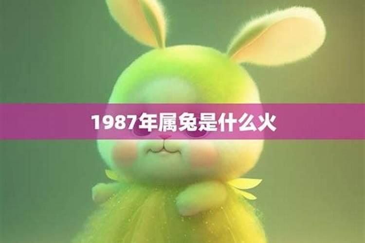 1987年是属什么兔