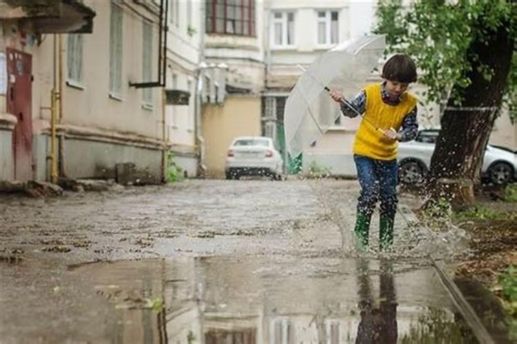 梦见下大雨海水上涨了