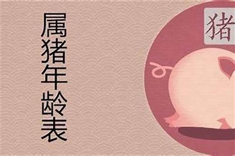 生肖猪今年多少岁了