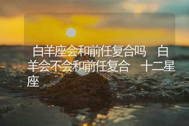 白羊男不理你说明什么