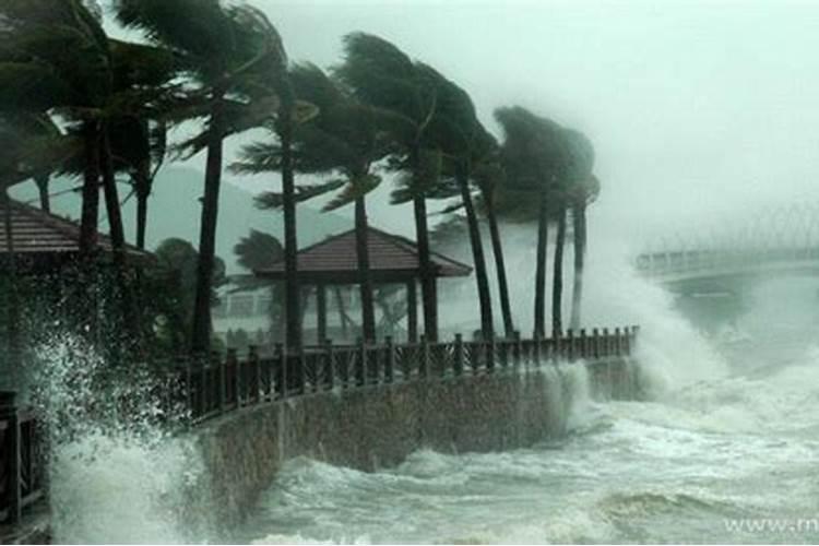 梦见海边大风大雨大浪