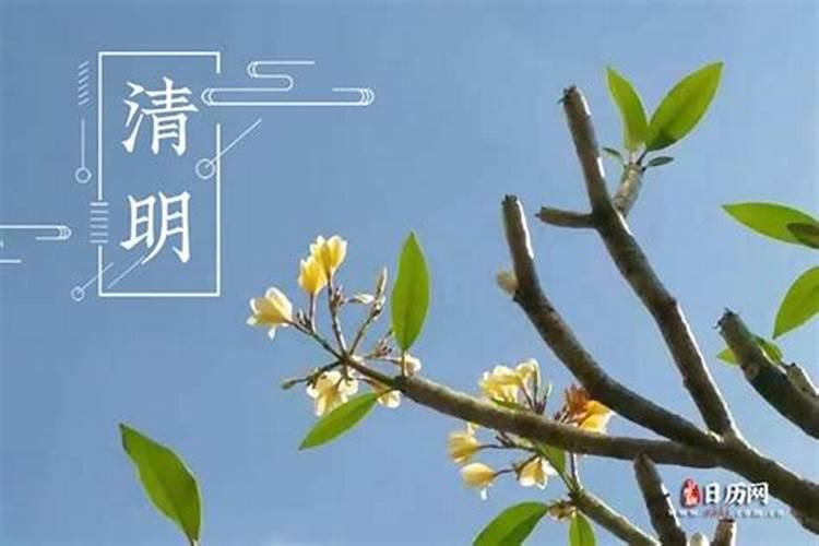 清明节农历过节时间是多少