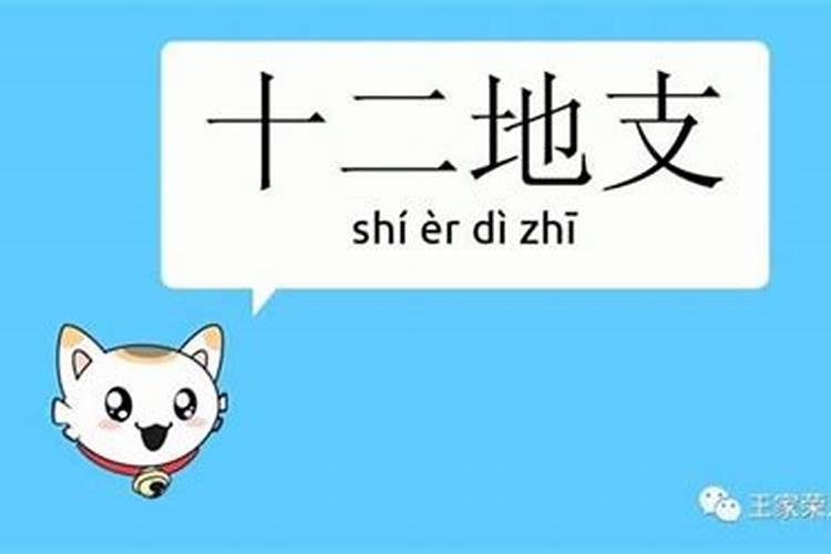 属马今年犯太岁是什么意思