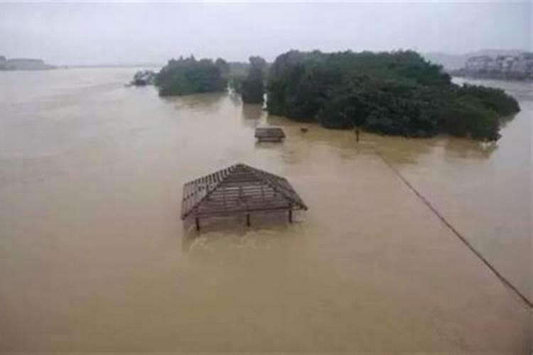 梦见下大雨淹成大海