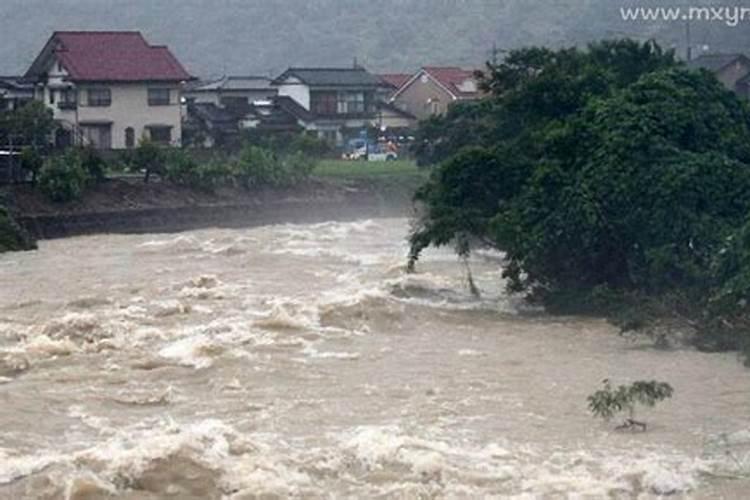 梦见涨大水下暴雨