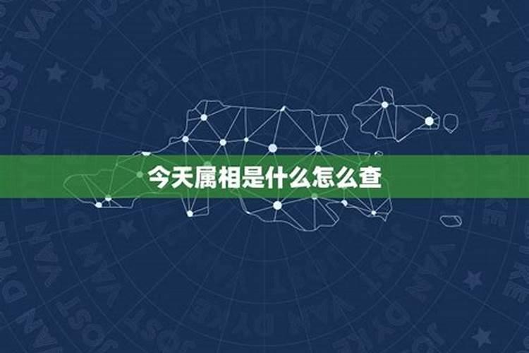 2021年3月7日今天属相是什么