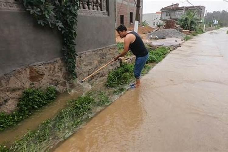 梦到下大雨河水涨了很多