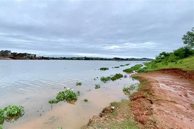 梦到下大雨河水涨了好多