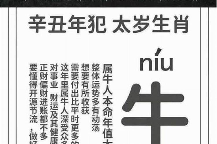 今年猴年运气怎么样在2021年运势怎么样