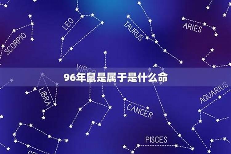 96属鼠正月初二运势