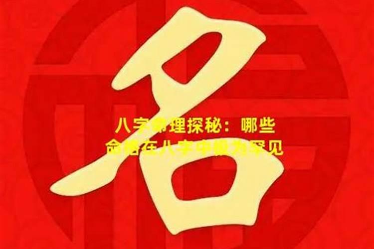 2019年出生的人是属什么生肖