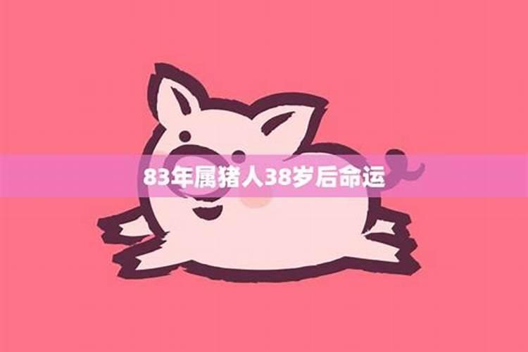 属猪人38岁