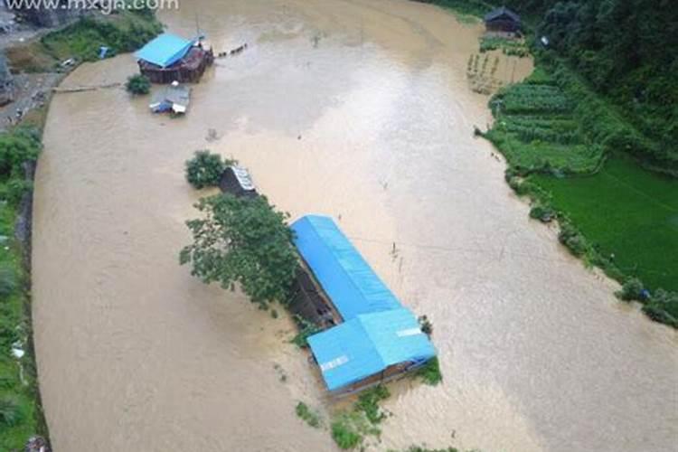 梦见大雨河里涨水