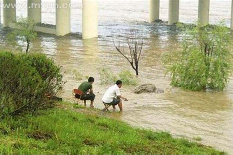 梦见大雨河里涨水