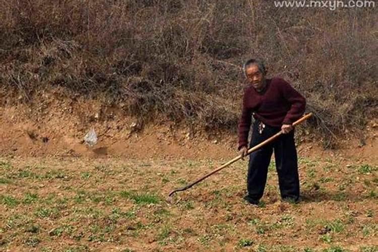 男人梦见挖地什么意思