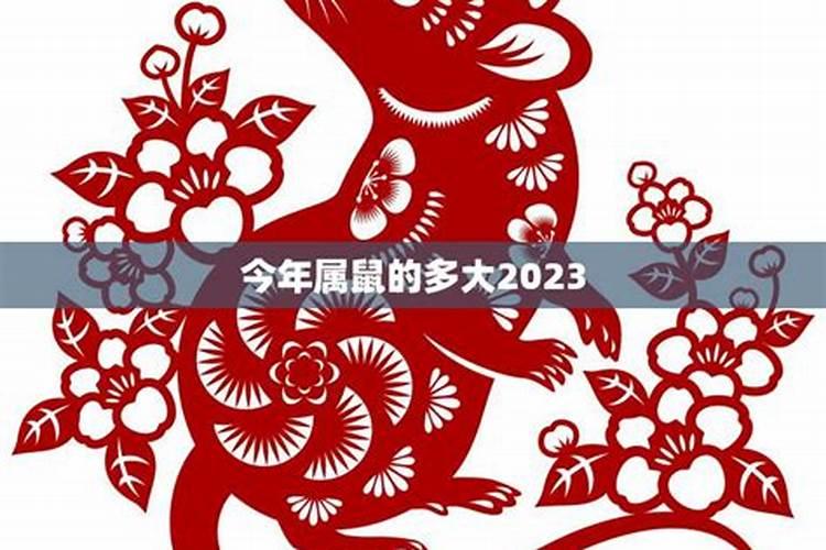 2033年属鼠多大