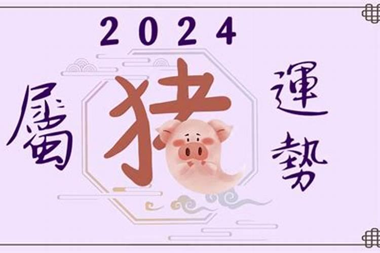 2024年生肖猪运势完整版