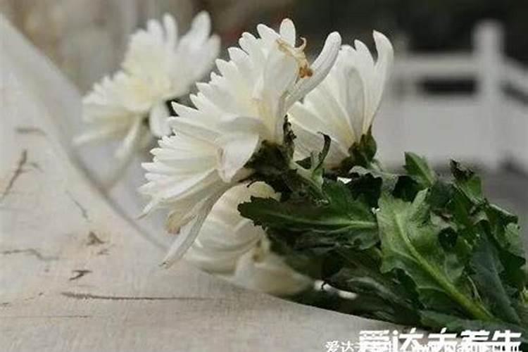 女儿十月初一祭奠父母