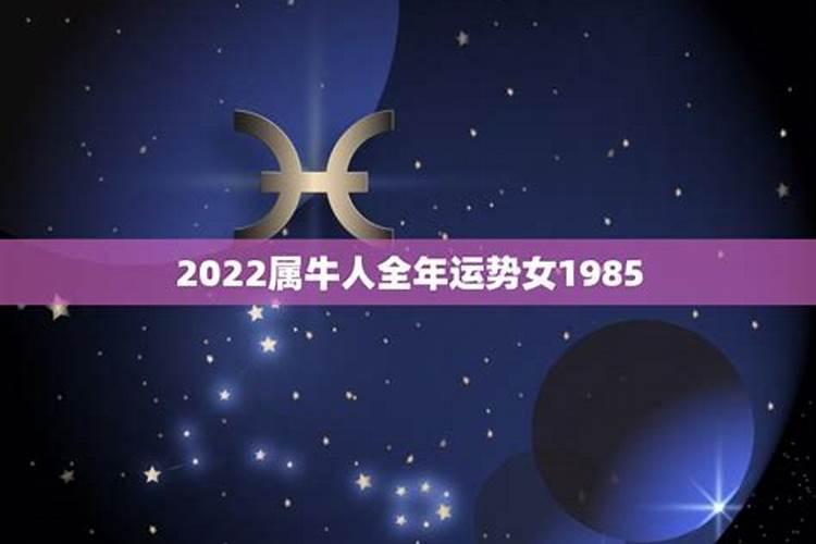 2023属牛人全年运势女