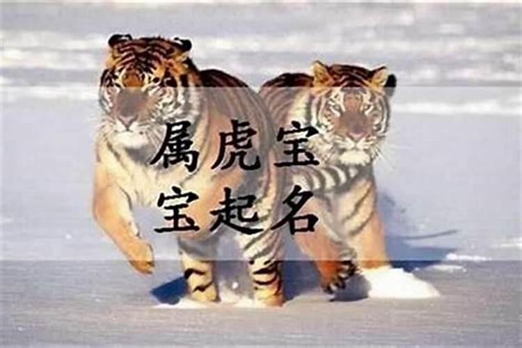 男孩属虎起什么名字招财