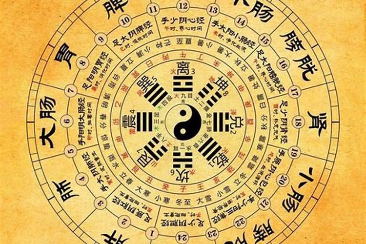 属马的今年运势2023麦