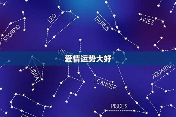 感情运势看什么星座