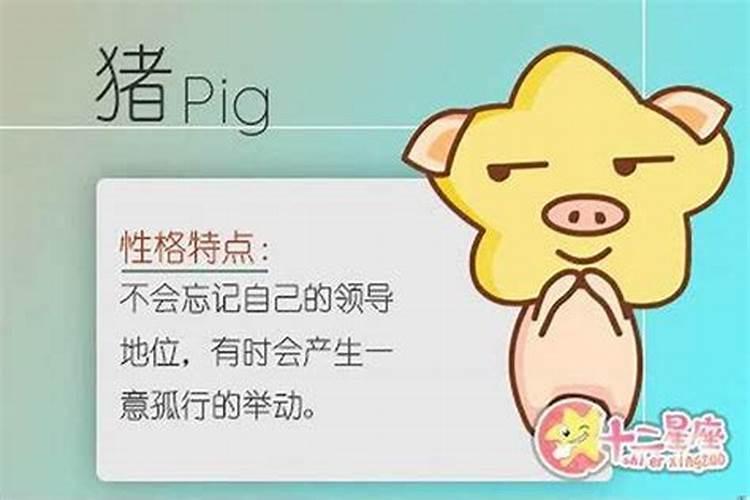 属猪的今年会不会离婚