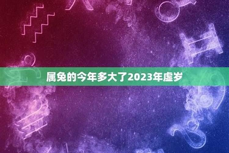 属兔的今年多大了2023虚岁