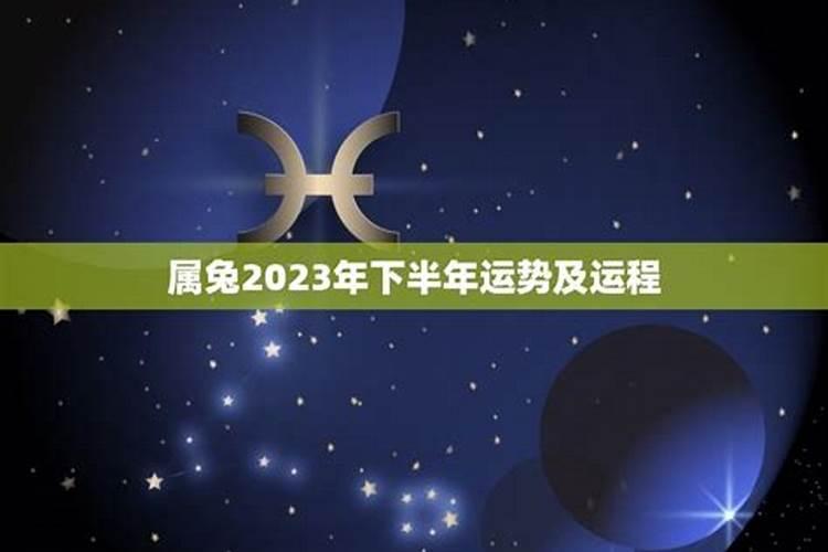 2023属兔的上半年运势