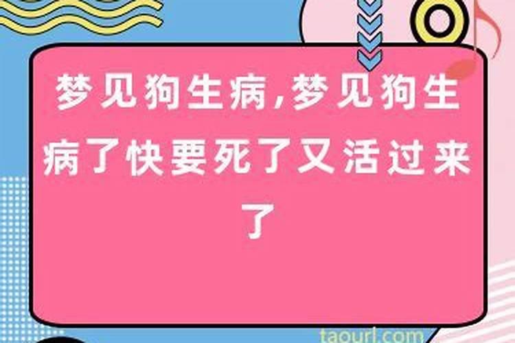 梦到狗死了又活过来了