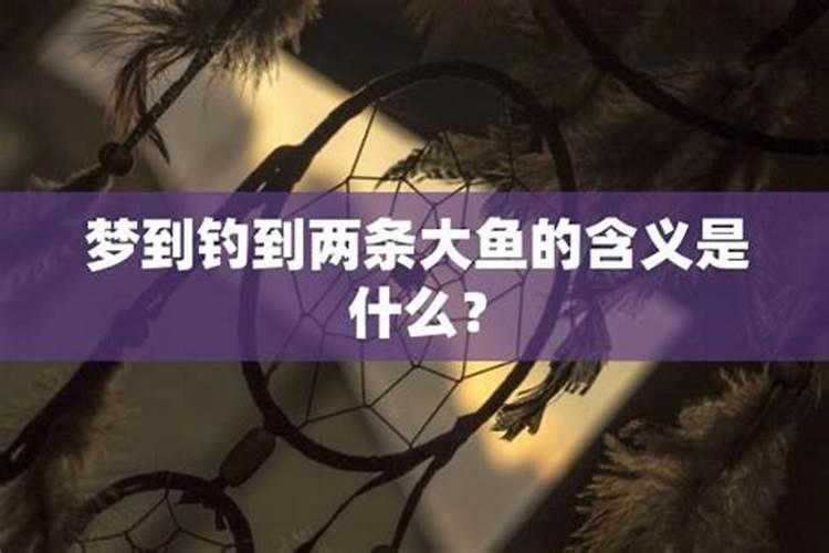 梦见钓到一条鱼是什么意思