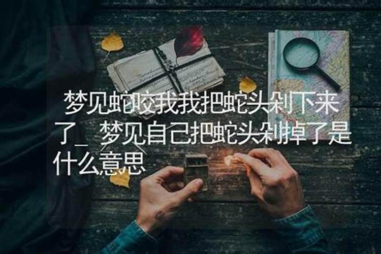 梦见儿子把蛇头咬掉了