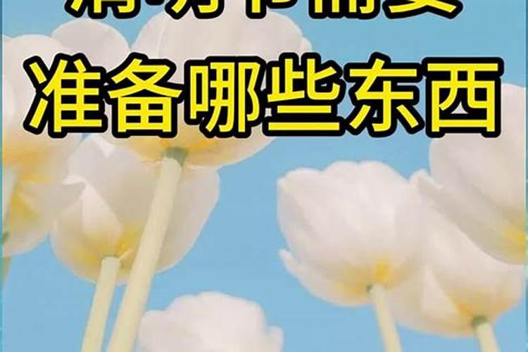 清明节需要哪些