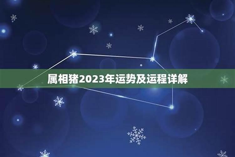 猪属相的运程2023年运程如何