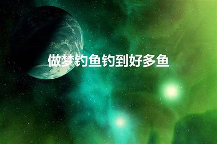 做梦梦到别人给我好多鱼