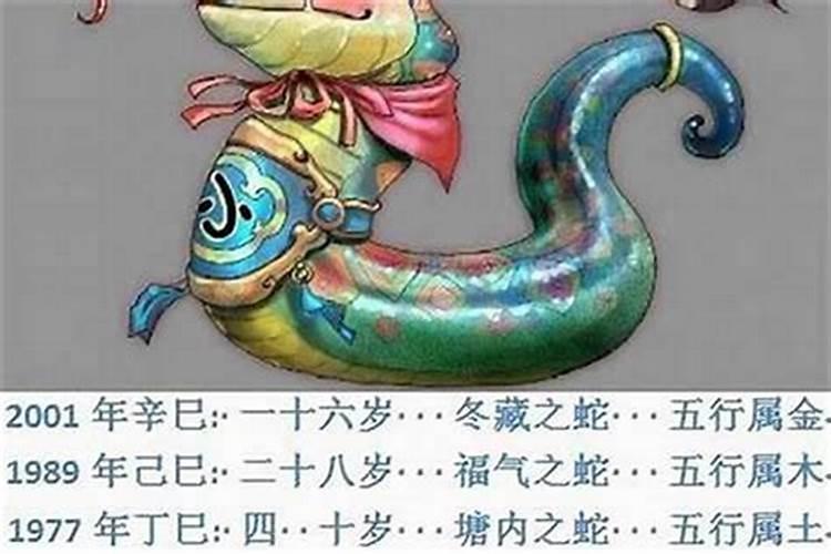 孕妇梦见蛇鸡