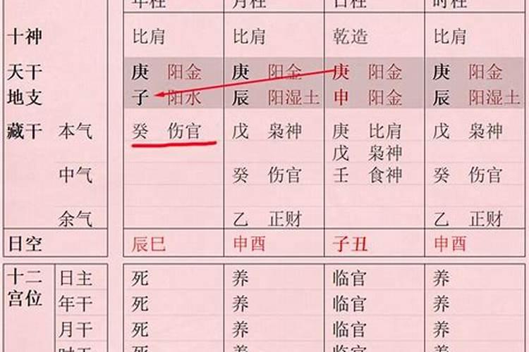 辛丑辛卯乙丑丙子的八字