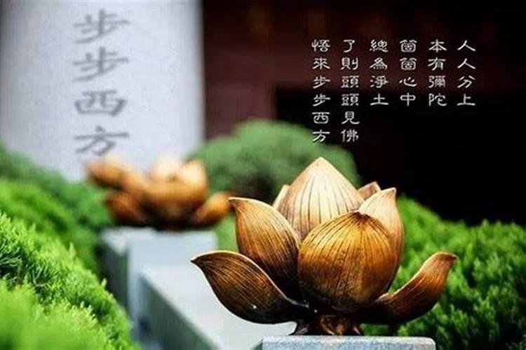 12生肖菩萨守护神图片