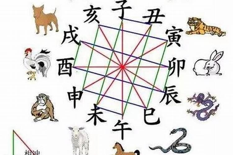 八字子午卯酉全代表什么