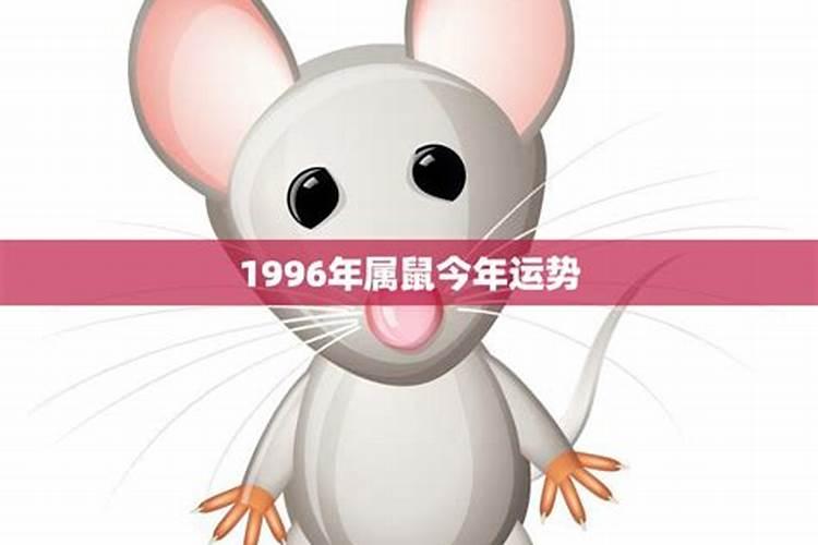 1996属鼠的今年运势如何