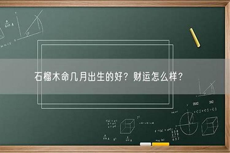 鼠的本命年运气怎样