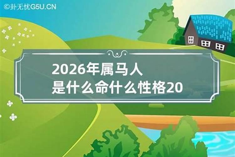 2026年是什么命