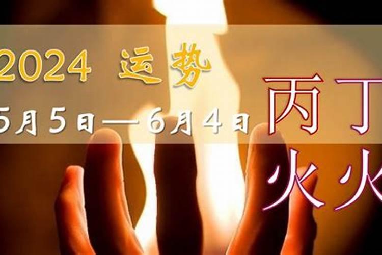 丙火人2023年运势