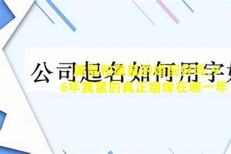 96年属鼠的今年姻缘怎么样啊