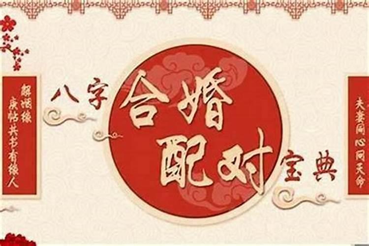 八字合婚怎么合年柱